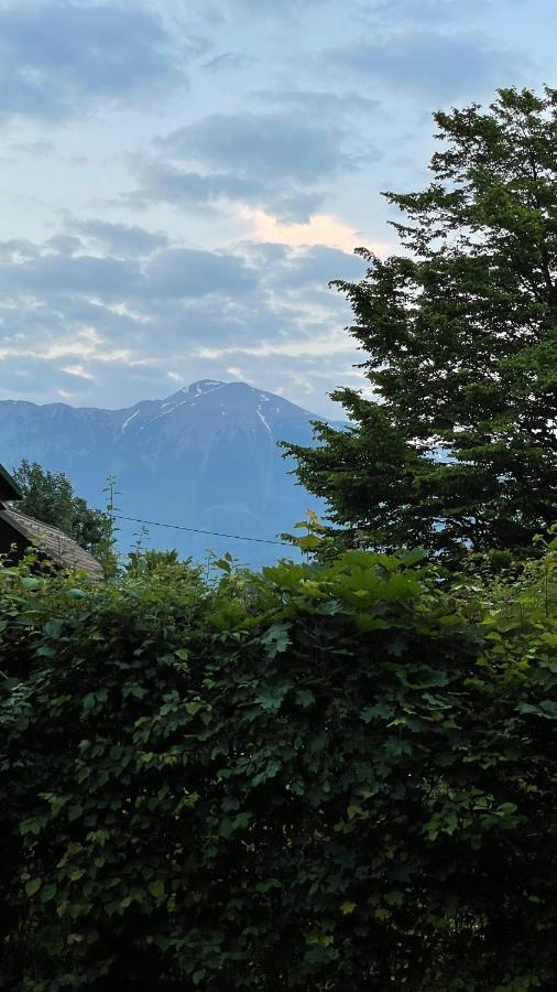 Villa Mika'S Garden à Bled Extérieur photo